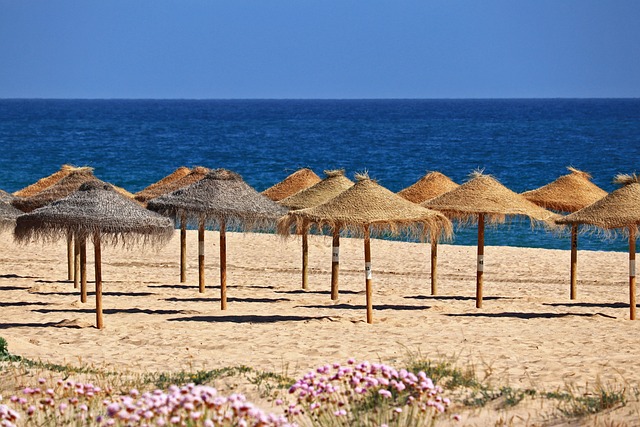 Tourism forecast Algarve 2025