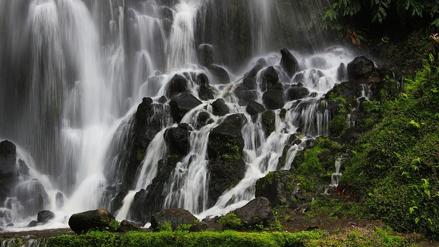 buy azores portugal