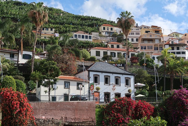 investment madeira 2025